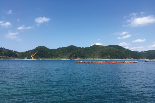 良質な岩牡蠣に育つ自然環境