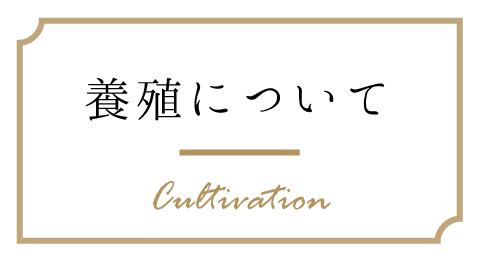 養殖について