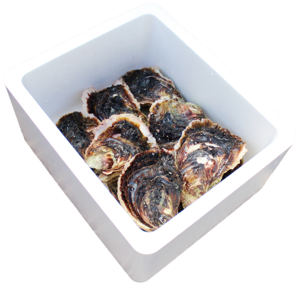 各サイズのサンプルをお届け！